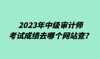 2023年中級審計師考試成績去哪個網站查？