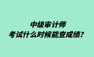 中級(jí)審計(jì)師考試什么時(shí)候能查成績(jī)？