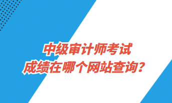 中級(jí)審計(jì)師考試成績(jī)?cè)谀膫€(gè)網(wǎng)站查詢？