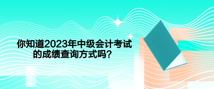 你知道2023年中級(jí)會(huì)計(jì)考試的成績(jī)查詢方式嗎？