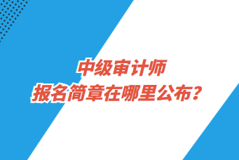 中級審計(jì)師報(bào)名簡章在哪里公布？