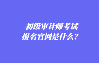 初級(jí)審計(jì)師考試報(bào)名官網(wǎng)是什么？