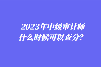 2023年中級(jí)審計(jì)師什么時(shí)候可以查分？