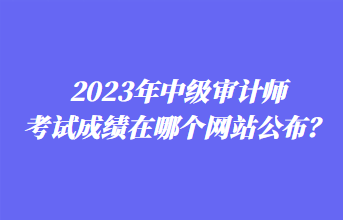 2023年中級審計師考試成績在哪個網(wǎng)站公布？