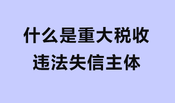 什么是重大稅收違法失信主體？