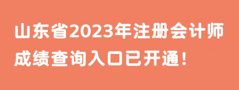 山東省2023年注冊(cè)會(huì)計(jì)師成績(jī)查詢?nèi)肟谝验_通！馬上查分>>