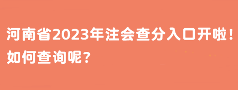 河南省2023年注會查分入口開啦！如何查詢呢？