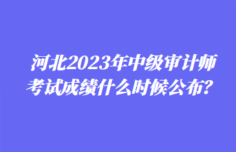 河北2023年中級(jí)審計(jì)師考試成績(jī)什么時(shí)候公布？