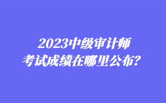 2023中級審計師考試成績在哪里公布？