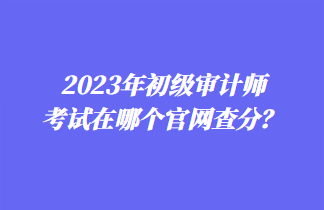 2023年初級(jí)審計(jì)師考試在哪個(gè)官網(wǎng)查分？