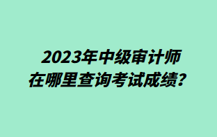 2023年中級審計師在哪里查詢考試成績？