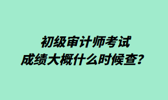 初級審計(jì)師考試成績大概什么時(shí)候查？