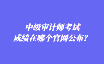 中級審計(jì)師考試成績在哪個官網(wǎng)公布？