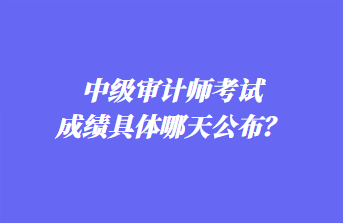 中級(jí)審計(jì)師考試成績(jī)具體哪天公布？