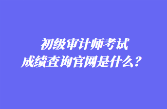 初級(jí)審計(jì)師考試成績查詢官網(wǎng)是什么？