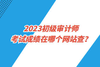 2023初級(jí)審計(jì)師考試成績(jī)?cè)谀膫€(gè)網(wǎng)站查？