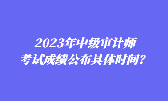 2023年中級(jí)審計(jì)師考試成績(jī)公布具體時(shí)間？