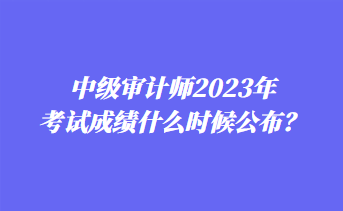 中級(jí)審計(jì)師2023年考試成績什么時(shí)候公布？