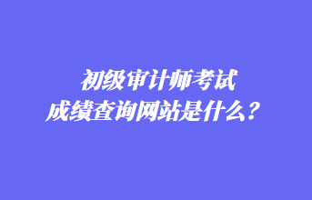 初級審計(jì)師考試成績查詢網(wǎng)站是什么？