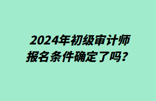 2024年初級審計師報名條件確定了嗎？