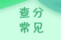 稅務(wù)師成績(jī)查詢常見問(wèn)題