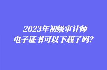 2023年初級審計(jì)師電子證書可以下載了嗎？