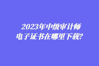 2023年中級(jí)審計(jì)師電子證書(shū)在哪里下載？