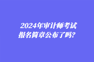 2024年審計(jì)師考試報(bào)名簡(jiǎn)章公布了嗎？