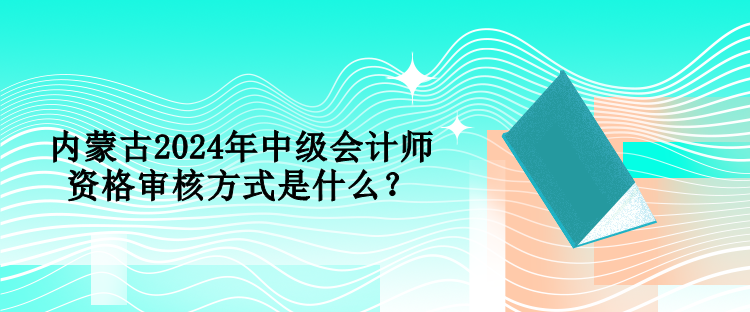 內(nèi)蒙古2024年中級(jí)會(huì)計(jì)師資格審核方式是什么？