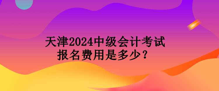 天津2024中級(jí)會(huì)計(jì)考試報(bào)名費(fèi)用是多少？