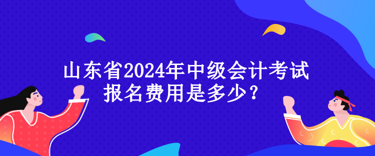 山東省2024年中級(jí)會(huì)計(jì)考試報(bào)名費(fèi)用是多少？