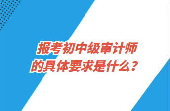 報(bào)考初中級(jí)審計(jì)師的具體要求是什么？