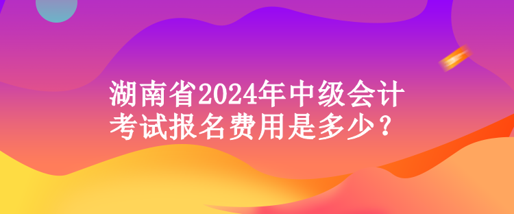 湖南省2024年中級(jí)會(huì)計(jì)考試報(bào)名費(fèi)用是多少？