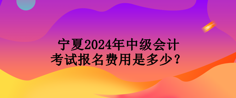 寧夏2024年中級(jí)會(huì)計(jì)考試報(bào)名費(fèi)用是多少？