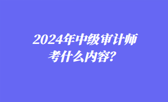 2024年中級(jí)審計(jì)師考什么內(nèi)容？