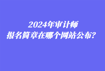 2024年審計師報名簡章在哪個網(wǎng)站公布？