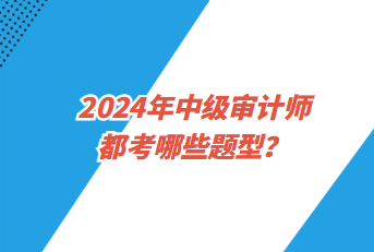 2024年中級(jí)審計(jì)師都考哪些題型？