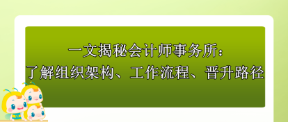 一文揭秘會計師事務(wù)所：了解組織架構(gòu)、工作流程、晉升路徑！