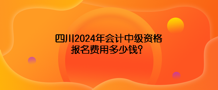 四川2024年會計中級資格報名費(fèi)用多少錢？