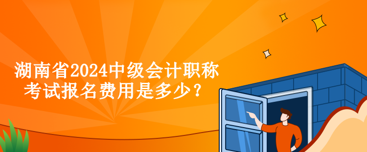 湖南省2024中級(jí)會(huì)計(jì)職稱考試報(bào)名費(fèi)用是多少？