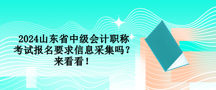 2024山東省中級會計(jì)職稱考試報(bào)名要求信息采集嗎？來看看！