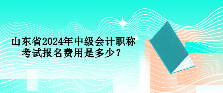 山東省2024年中級(jí)會(huì)計(jì)職稱考試報(bào)名費(fèi)用是多少？