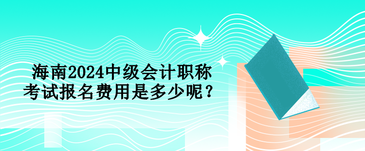 海南2024中級(jí)會(huì)計(jì)職稱考試報(bào)名費(fèi)用是多少呢？