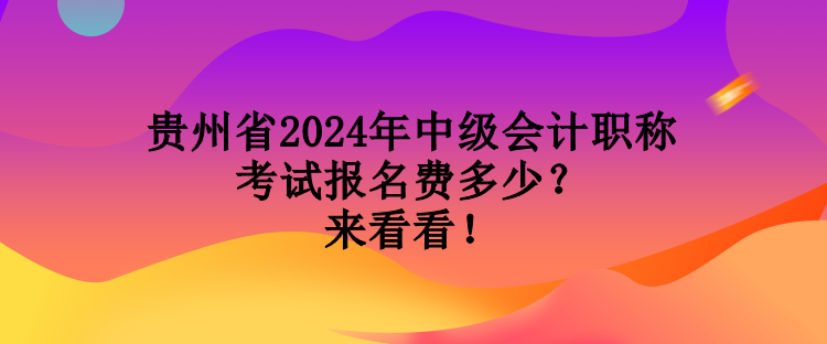 貴州省2024年中級會計職稱考試報名費多少？來看看！