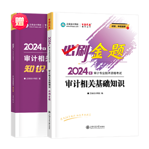 審計相關基礎知識必刷金題