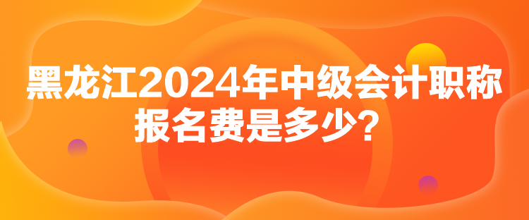 黑龍江2024年中級會計(jì)職稱報(bào)名費(fèi)是多少？