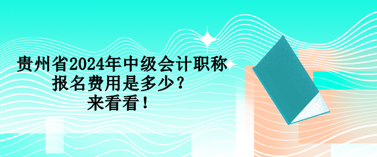 貴州省2024年中級會計職稱報名費用是多少？來看看！