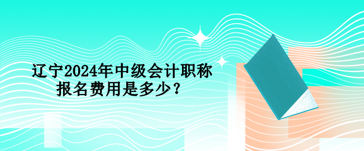 遼寧2024年中級會計職稱報名費用是多少？