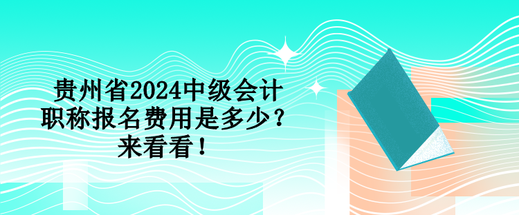 貴州省2024中級(jí)會(huì)計(jì)職稱報(bào)名費(fèi)用是多少？來看看！