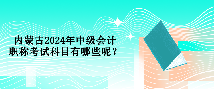 內(nèi)蒙古2024年中級(jí)會(huì)計(jì)職稱考試科目有哪些呢？